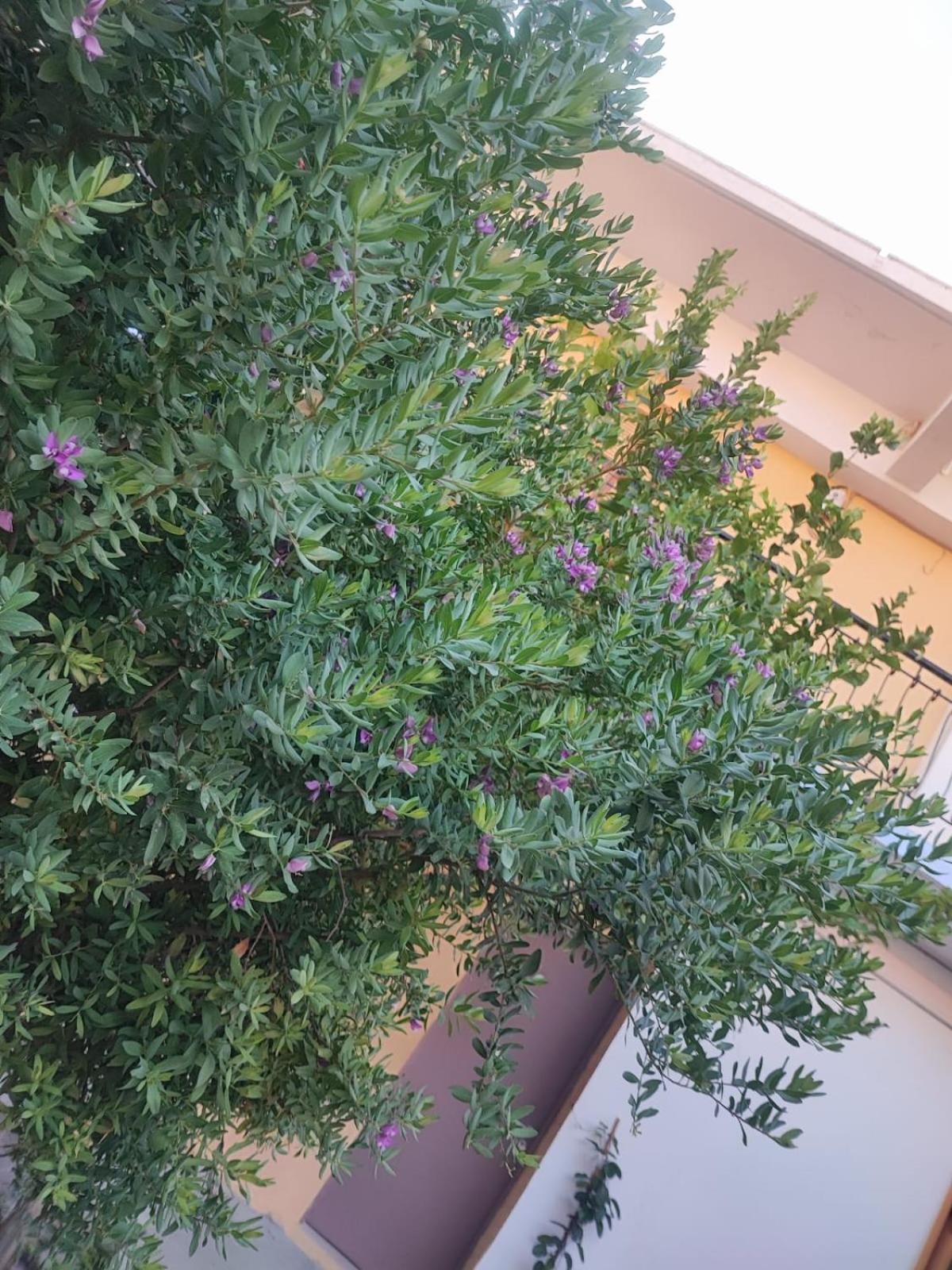 시미 Myrtia 아파트 외부 사진